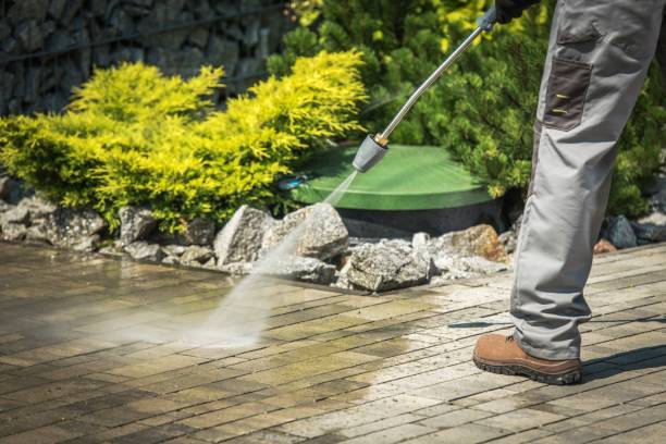 Boat and Dock Cleaning in International Falls, MN