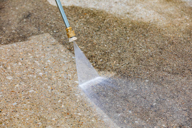 Best House Exterior Washing  in International Falls, MN