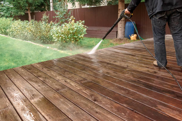 Best Patio and Deck Pressure Washing  in International Falls, MN